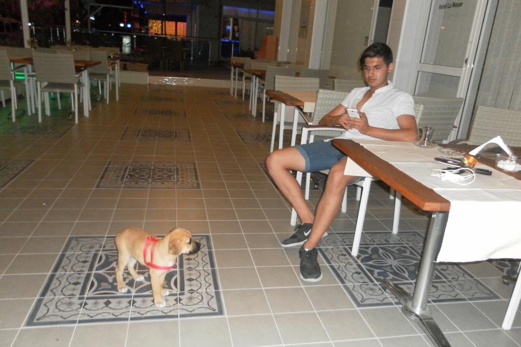Hotel La Mosae Alanya Zewnętrze zdjęcie