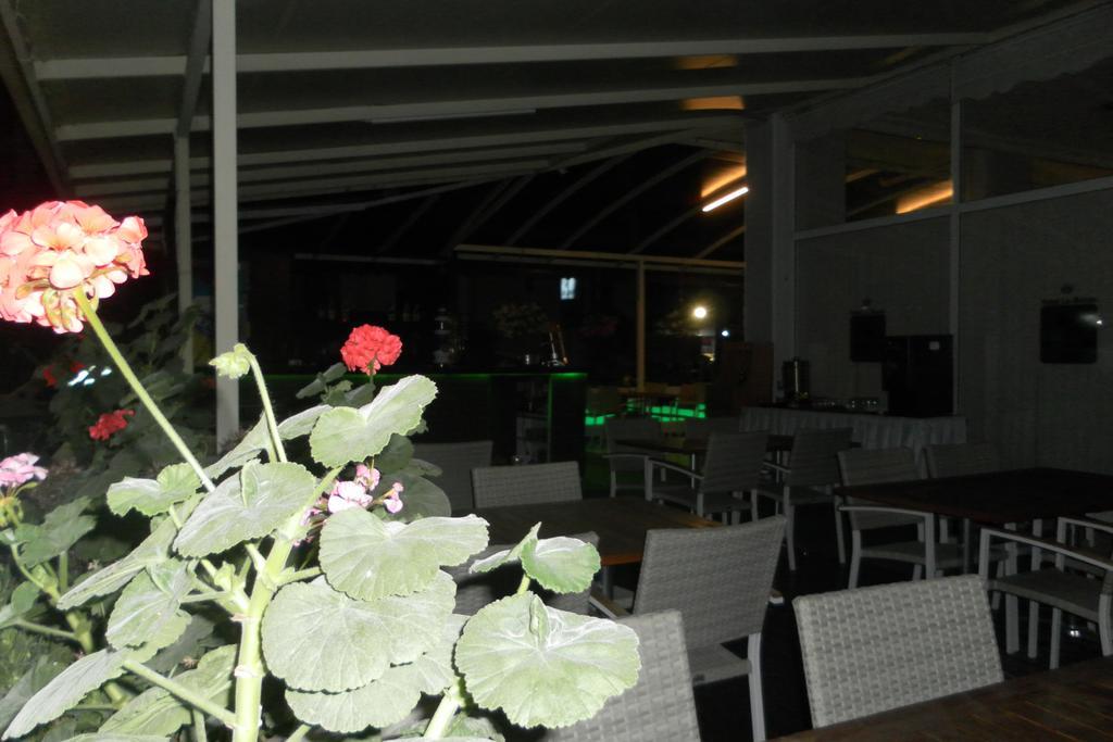Hotel La Mosae Alanya Zewnętrze zdjęcie